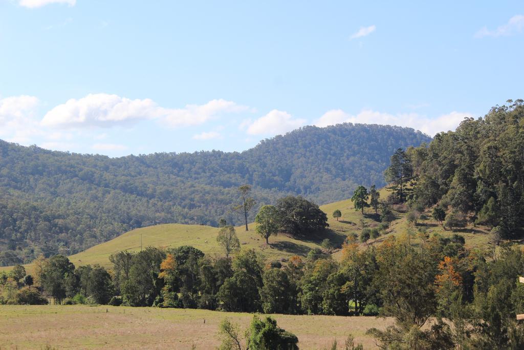 Greenlee Cottages Canungra Extérieur photo